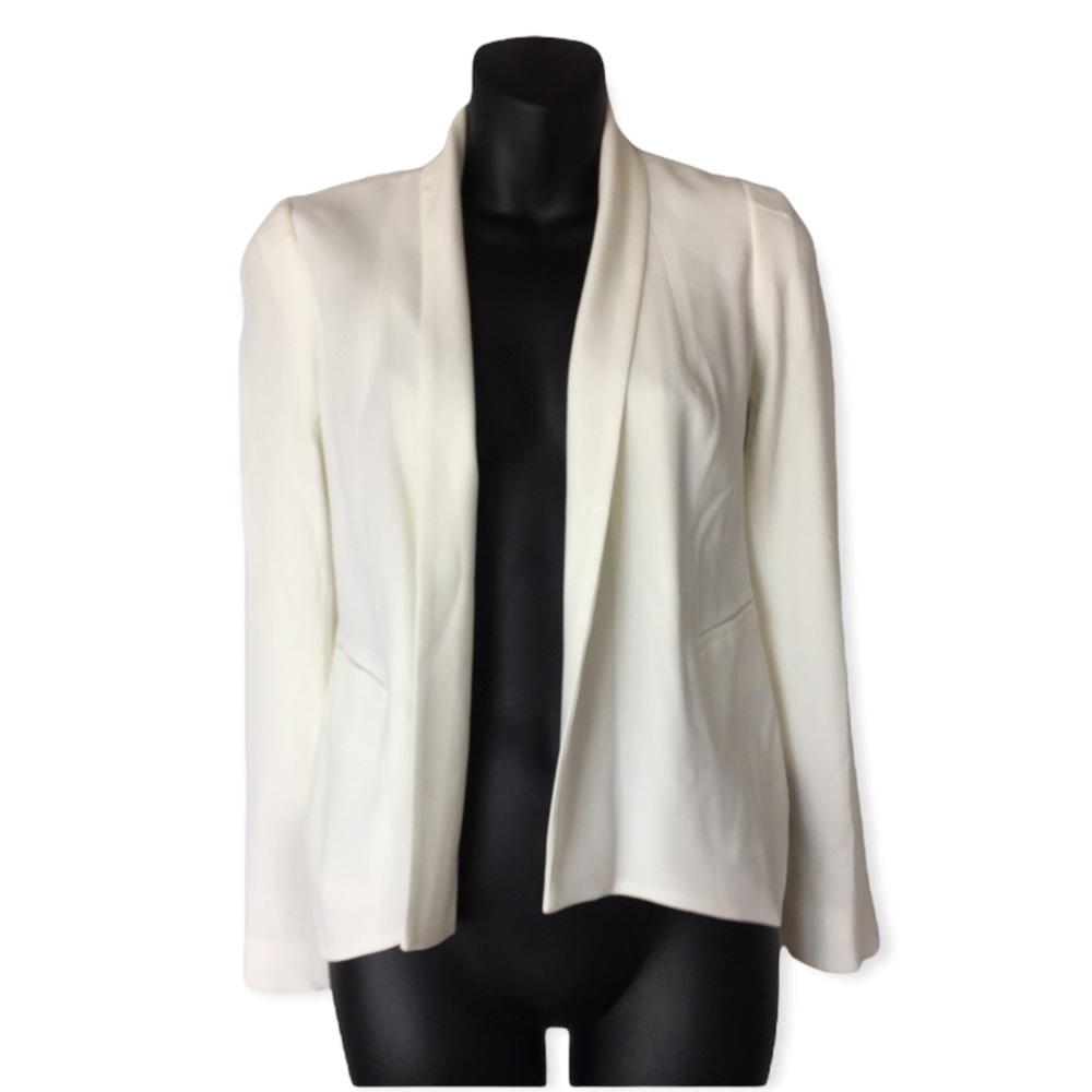 Aritzia Babaton Dominik Blazer
